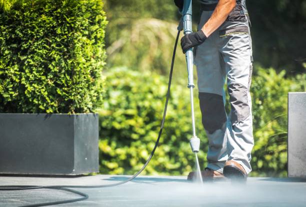 Best Driveway Pressure Washing  in Lucedale, MS