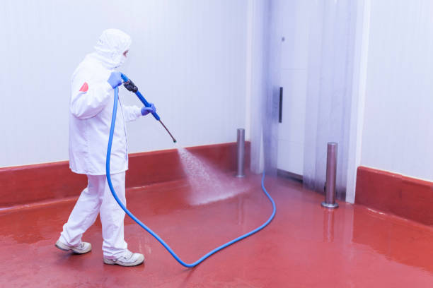 Best Solar Panel Cleaning  in Lucedale, MS
